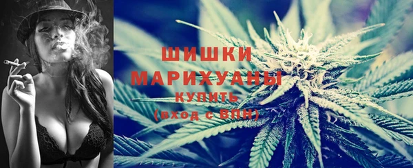 тгк Богданович